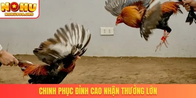 Chinh phục đỉnh cao nhận thưởng lớn